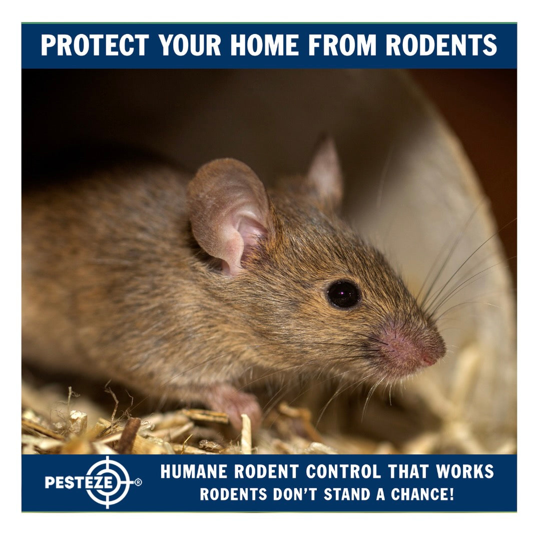 INTEGRATED PEST MANAGEMENT (IPM) FOR RODENTS: A COMPLETE GUIDE