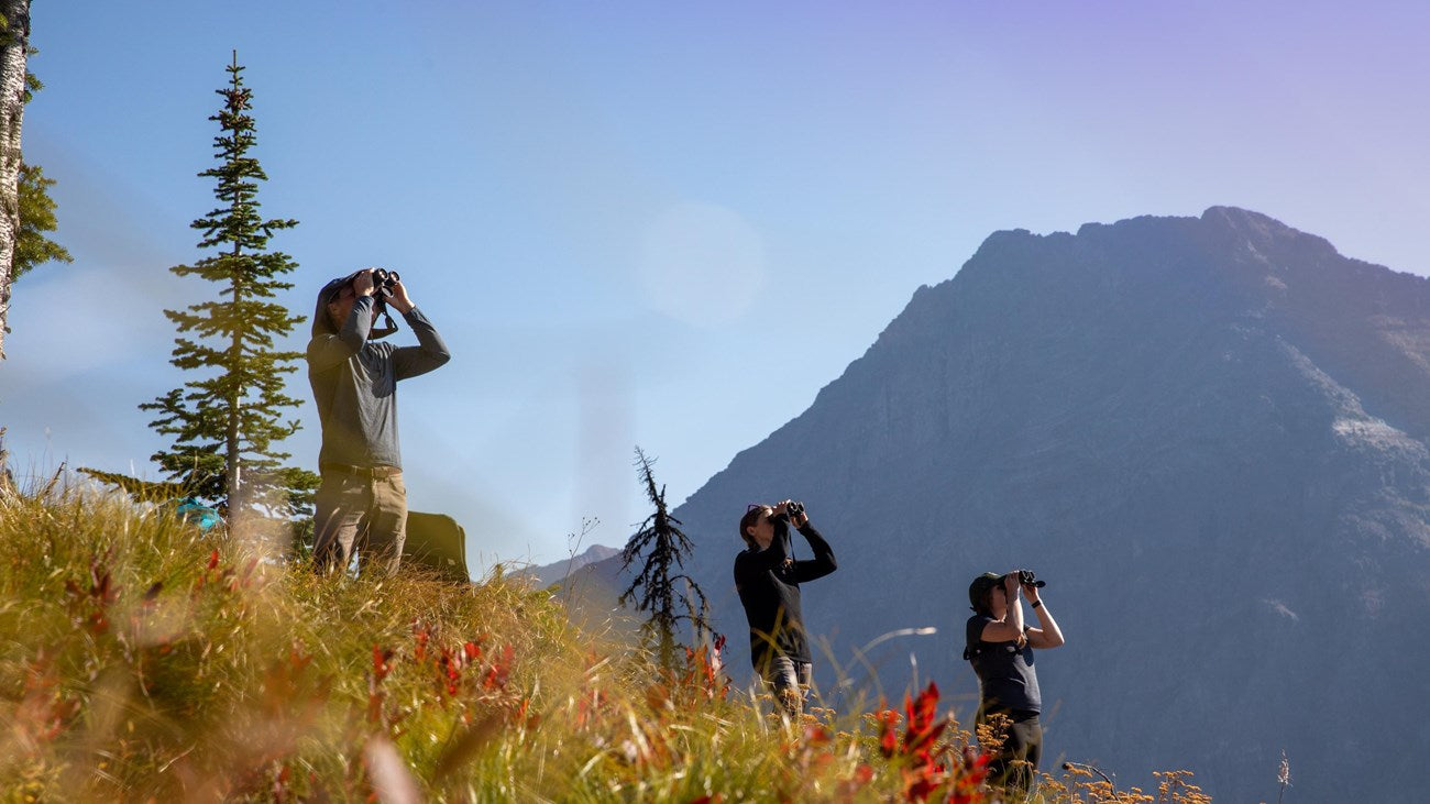 PREVENT BIRD DISTURBANCES IN NATIONAL PARKS WITH SMART TECHNIQUES