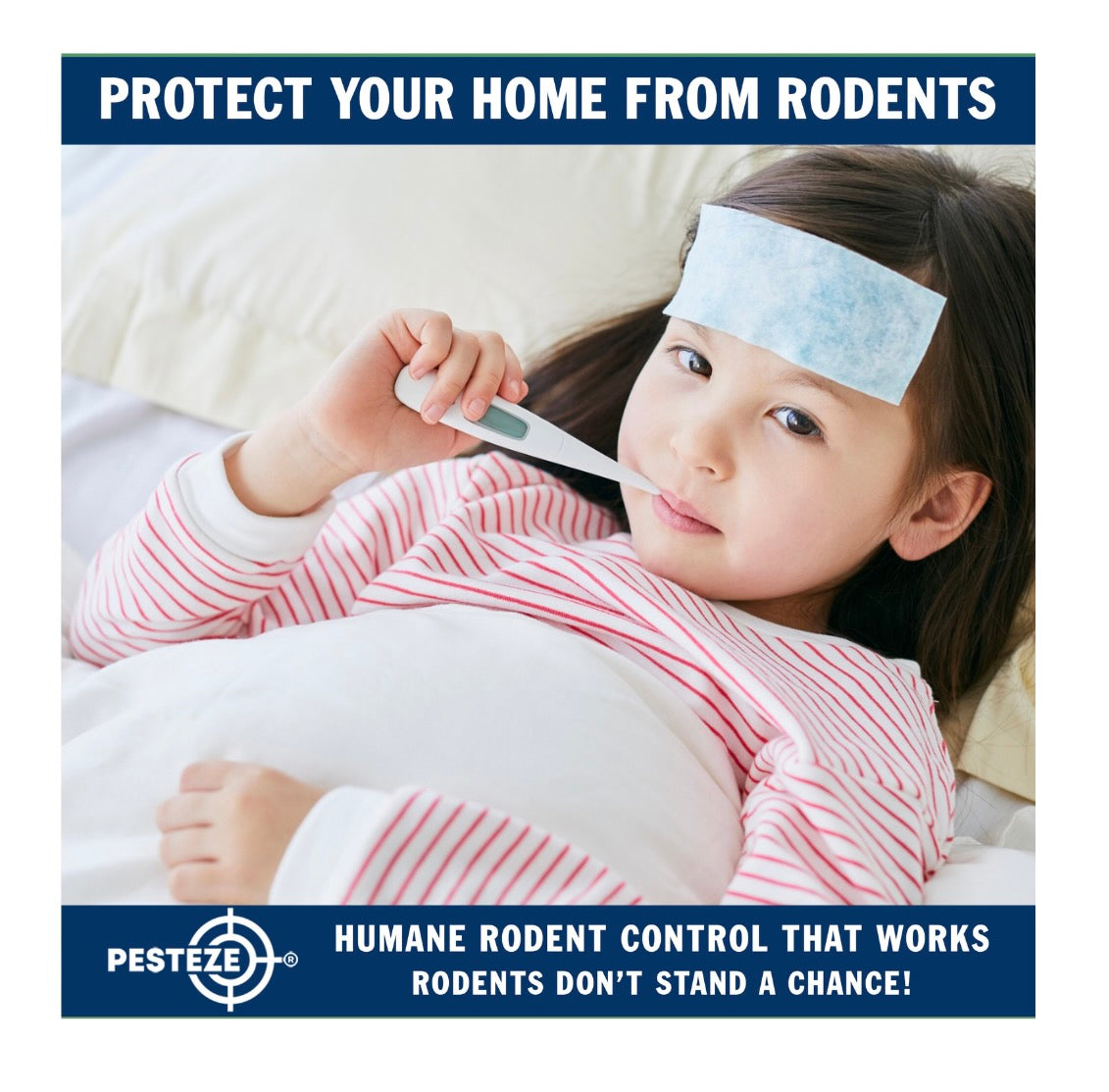CAN RODENTS MAKE YOU SICK? UNDERSTANDING THE HEALTH RISKS