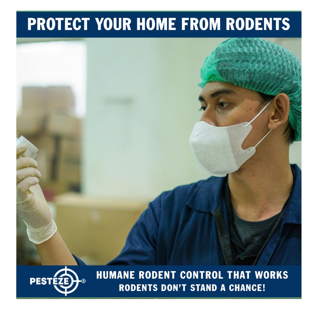 HOW PEST CONTROL EXPERTS GET RID OF RODENTS FAST