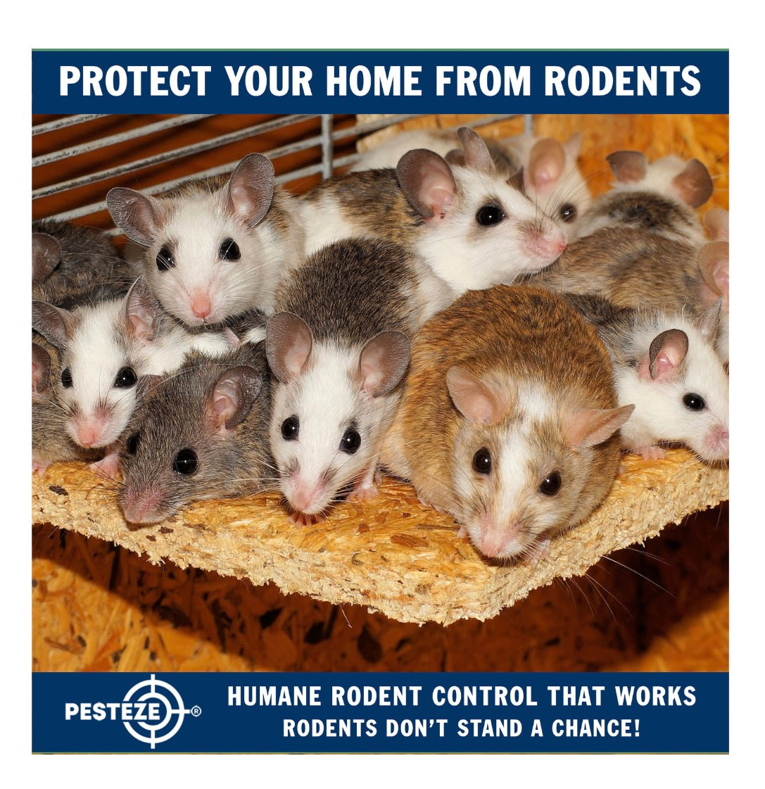 ADVANCED RODENT CONTROL METHODS