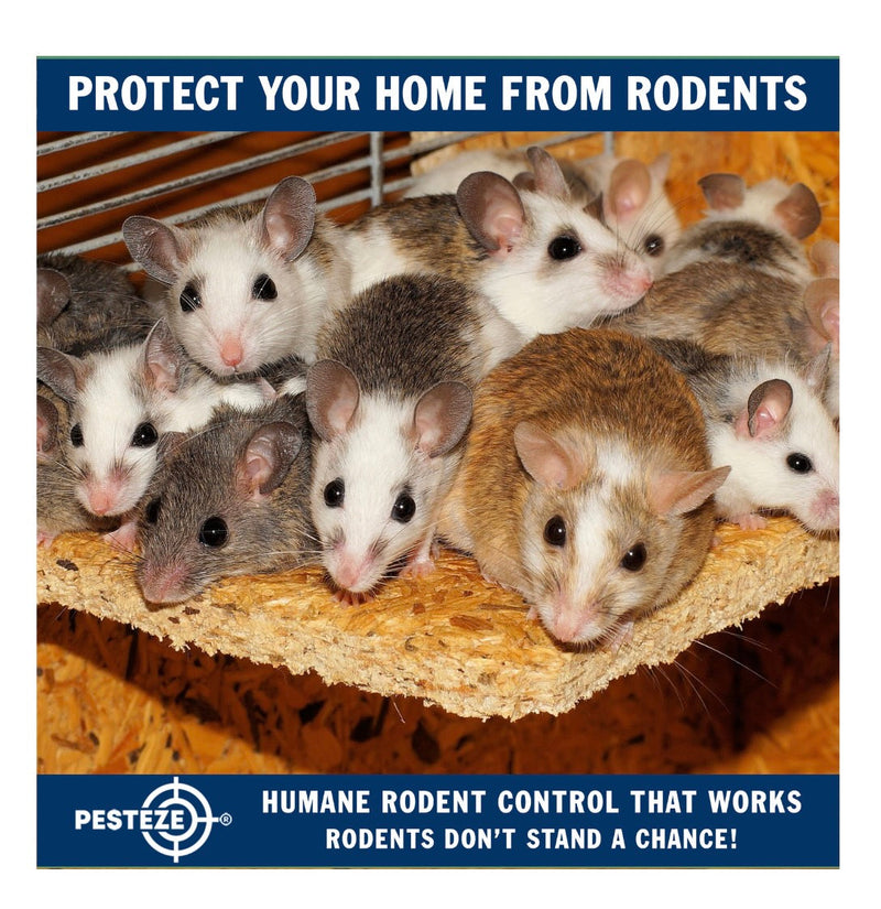 Advanced Rodent Control Methods – Smart Solutions for Long-Term Pest ...
