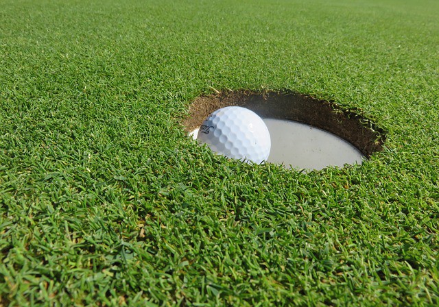 HOW TO DETER BIRDS FROM GOLF COURSES: PROTECT THE GREENS WITH SMART SOLUTIONS!