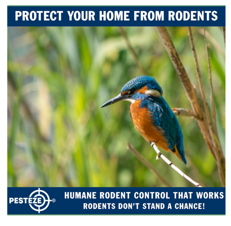 BLOCK BIRDS BEFORE THEY NEST: INDUSTRIAL WAREHOUSE BIRD CONTROL MADE ...