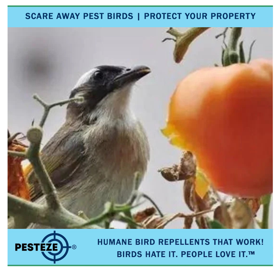 PROTECT YOUR GARDEN WITH SIMPLE, HUMANE BIRD DETERRENTS!