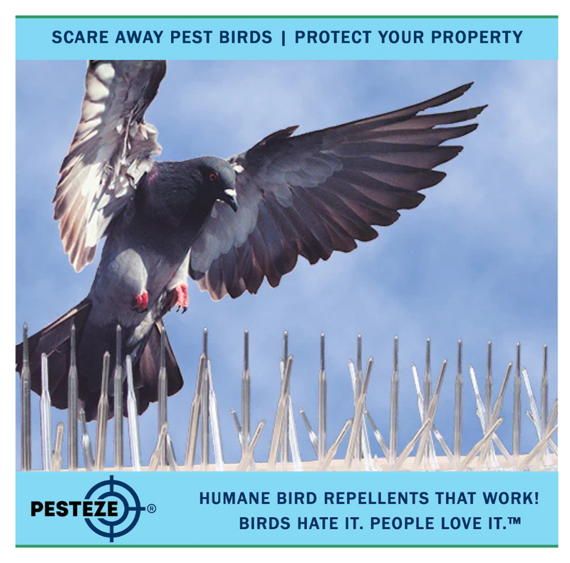 UNDERSTAND THE DIFFERENCE: TEMPORARY VS. PERMANENT BIRD DETERRENTS!