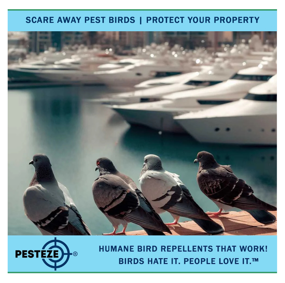 KEEP YOUR BOAT AND MARINA BIRD-FREE WITH SIMPLE SOLUTIONS!