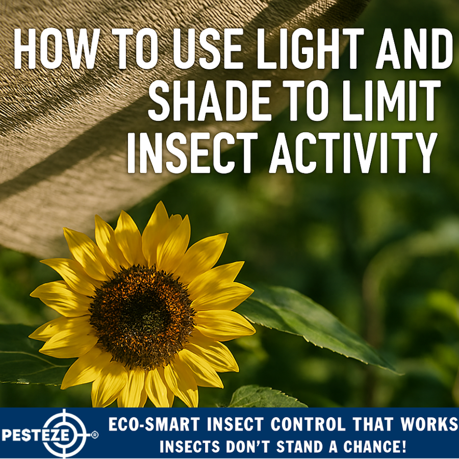 How to Use Light and Shade to Limit Insect Activity