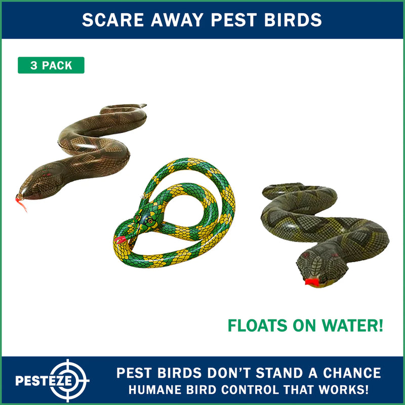 PESTEZE® LAUNCHES USA REALISTIC INFLATABLE SNAKES FOR HUMANE OUTDOOR BIRD DETERRENCE
