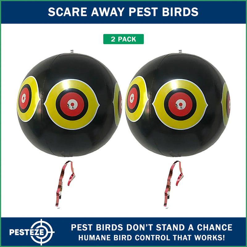 PESTEZE® LAUNCHES LARGE BLACK PREDATOR-EYE BALLOON DECOYS FOR HUMANE OUTDOOR BIRD DETERRENCE