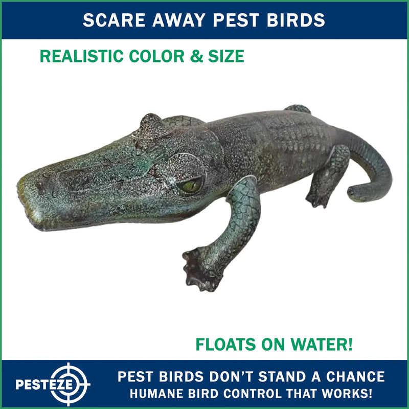 PESTEZE® LAUNCHES REALISTIC INFLATABLE ALLIGATOR FOR HUMANE BIRD AND ...