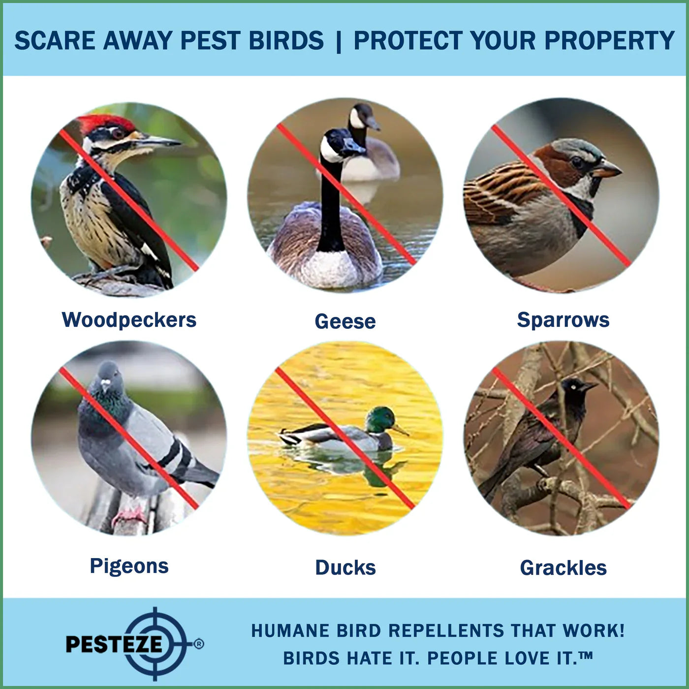 PESTEZE® LAUNCHES BUTTERFLY 3D WIND SPINNER FOR HUMANE OUTDOOR BIRD DETERRENCE