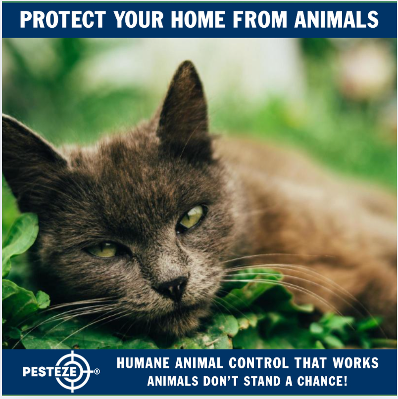 ECO-FRIENDLY ANIMAL CONTROL TECHNIQUES YOU CAN TRY TODAY