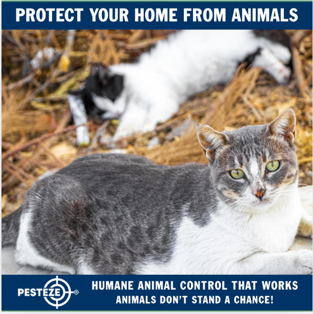 ANIMAL CONTROL FOR NEW HOMEOWNERS: A SURVIVAL GUIDE