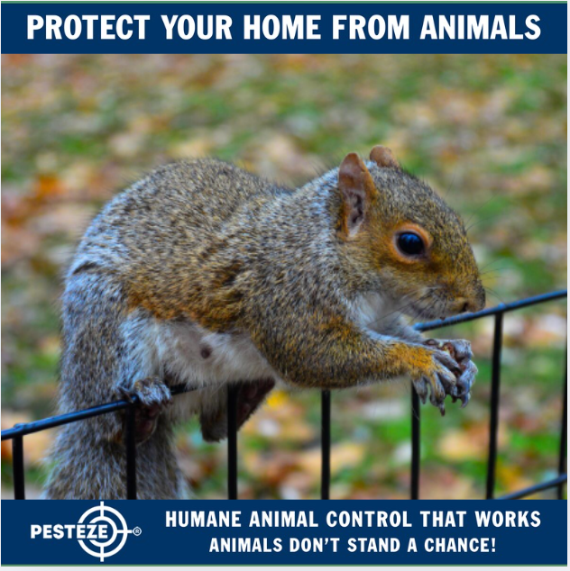 KEEPING WILDLIFE OUT: THE ULTIMATE ANIMAL CONTROL PLAN