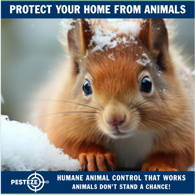 SEASONAL ANIMAL CONTROL TIPS FOR EVERY HOME