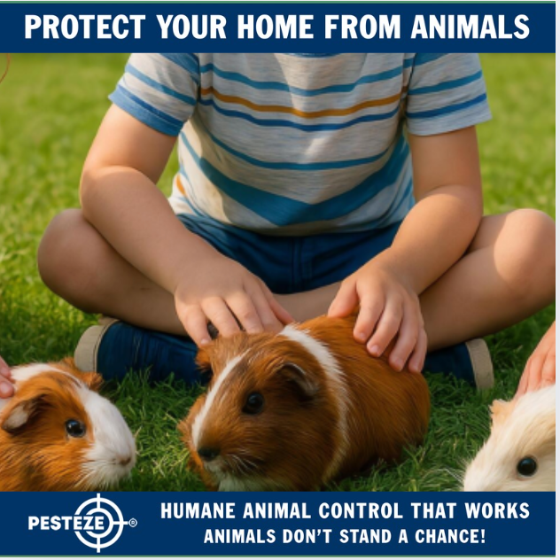 THE DIY ANIMAL CONTROL GUIDE FOR FAMILIES