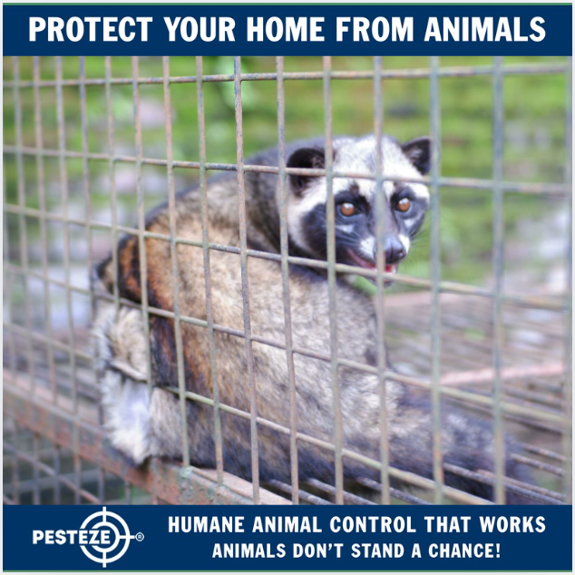 DIY ANIMAL CONTROL: WHAT YOU CAN (AND CAN’T) DO LEGALLY