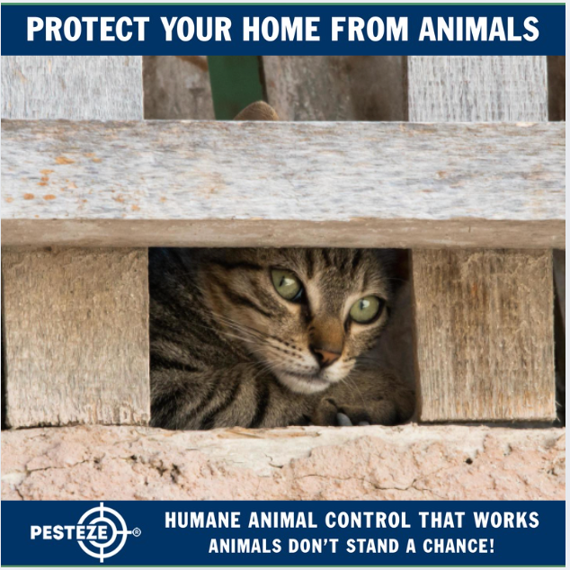 PREVENTING ANIMAL INTRUSION: TIPS THAT WORK