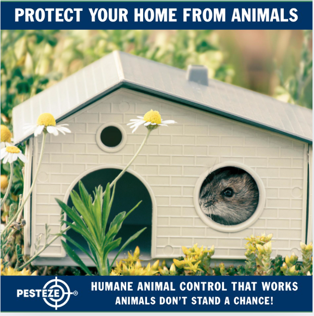 BUILD A WILDLIFE-RESISTANT HOME WITH THESE ANIMAL CONTROL HACKS