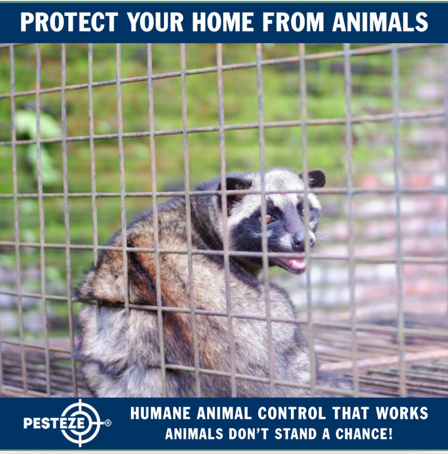 HOW TO REPORT AN ANIMAL ISSUE TO THE RIGHT AUTHORITY