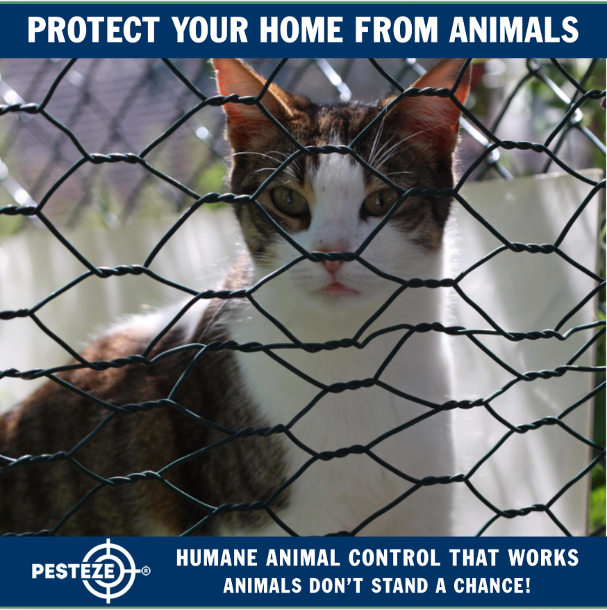 WHAT HAPPENS WHEN ANIMAL CONTROL GETS INVOLVED?