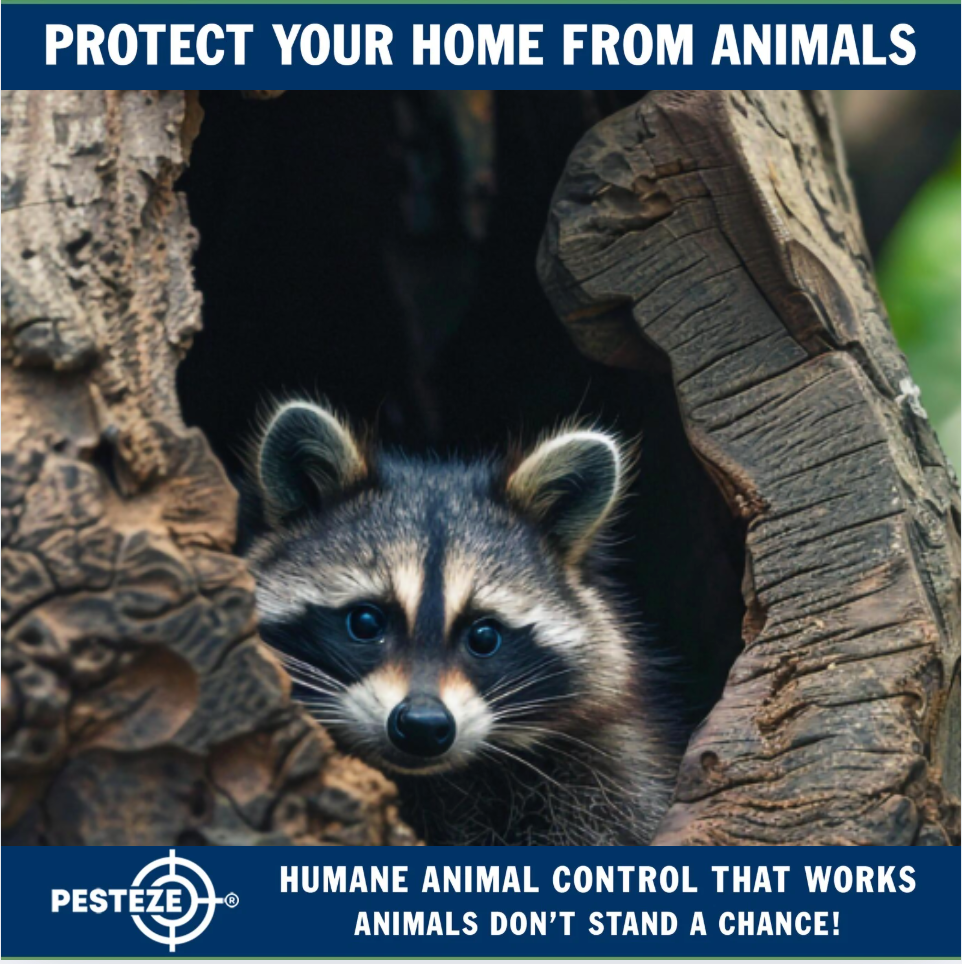 HOW TO PROTECT WILDLIFE WHILE SECURING YOUR HOME