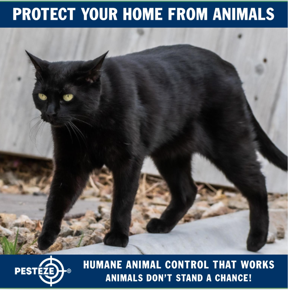 TOP HUMANE ANIMAL DETERRENTS FOR EVERY BUDGET