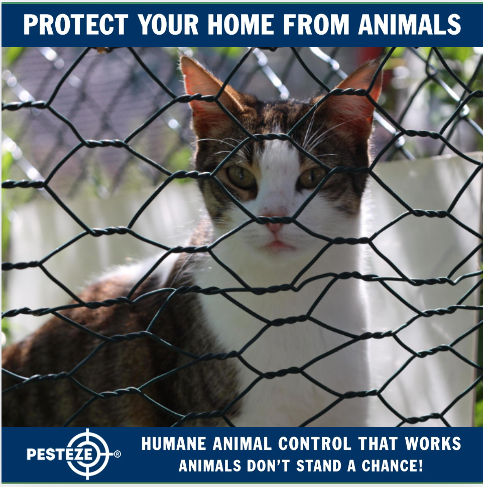 ANIMAL CONTROL CHALLENGES IN URBAN AREAS