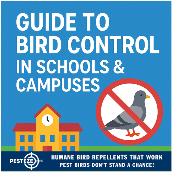 GUIDE TO BIRD CONTROL IN SCHOOLS & CAMPUSES: CREATE A CLEAN, SAFE, AND LEARNING-FRIENDLY ENVIRONMENT