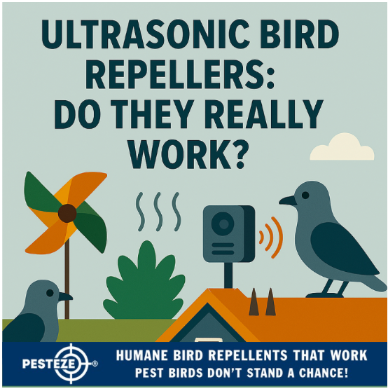 ULTRASONIC BIRD REPELLERS: DO THEY REALLY WORK?