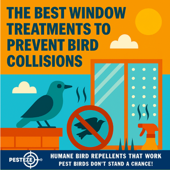 THE BEST WINDOW TREATMENTS TO PREVENT BIRD COLLISIONS