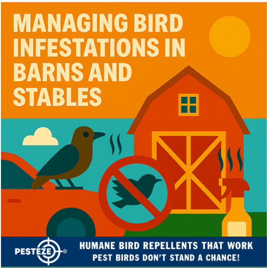 MANAGING BIRD INFESTATIONS IN BARNS AND STABLES