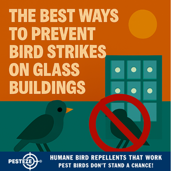 THE BEST WAYS TO PREVENT BIRD STRIKES ON GLASS BUILDINGS