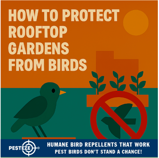 HOW TO PROTECT ROOFTOP GARDENS FROM BIRDS