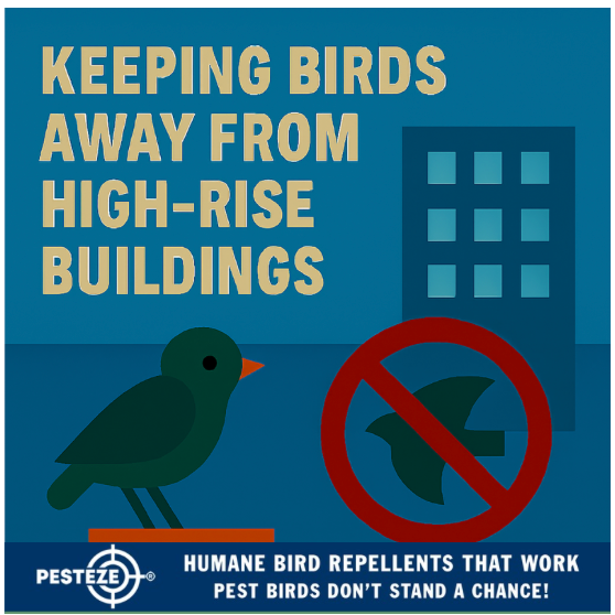 KEEPING BIRDS AWAY FROM HIGH-RISE BUILDINGS