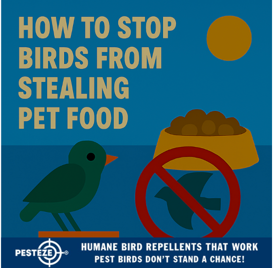 HOW TO STOP BIRDS FROM STEALING PET FOOD