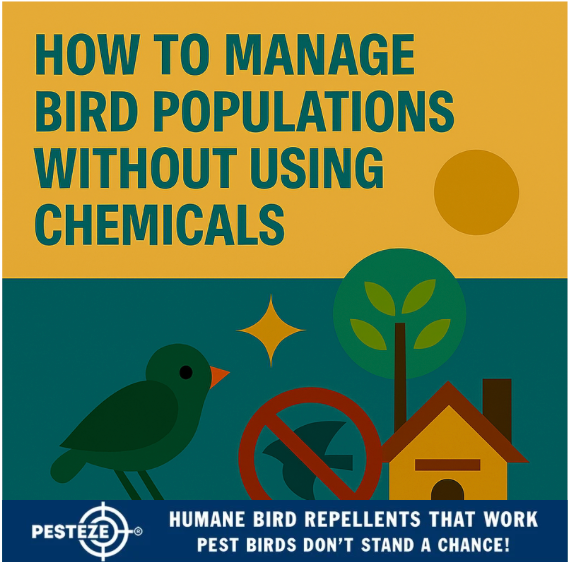 HOW TO MANAGE BIRD POPULATIONS WITHOUT USING CHEMICALS