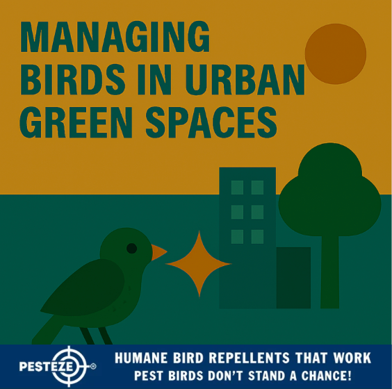 Urban Bird Management 2025: Ecosystem Control Guide – Pesteze