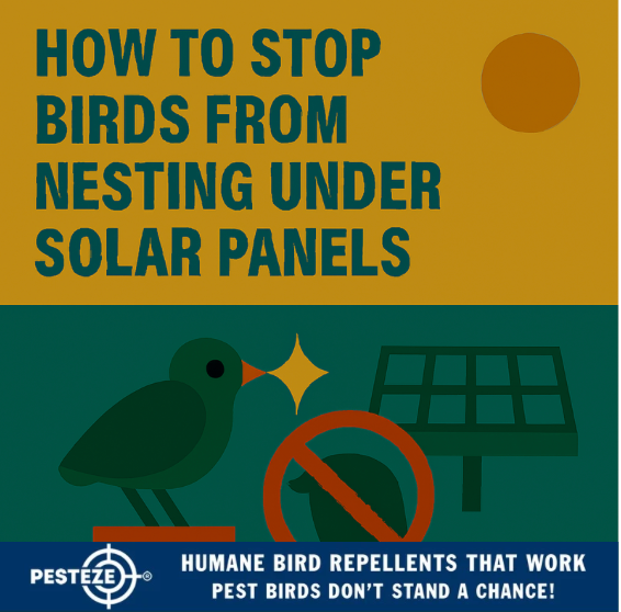 HOW TO STOP BIRDS FROM NESTING UNDER SOLAR PANELS
