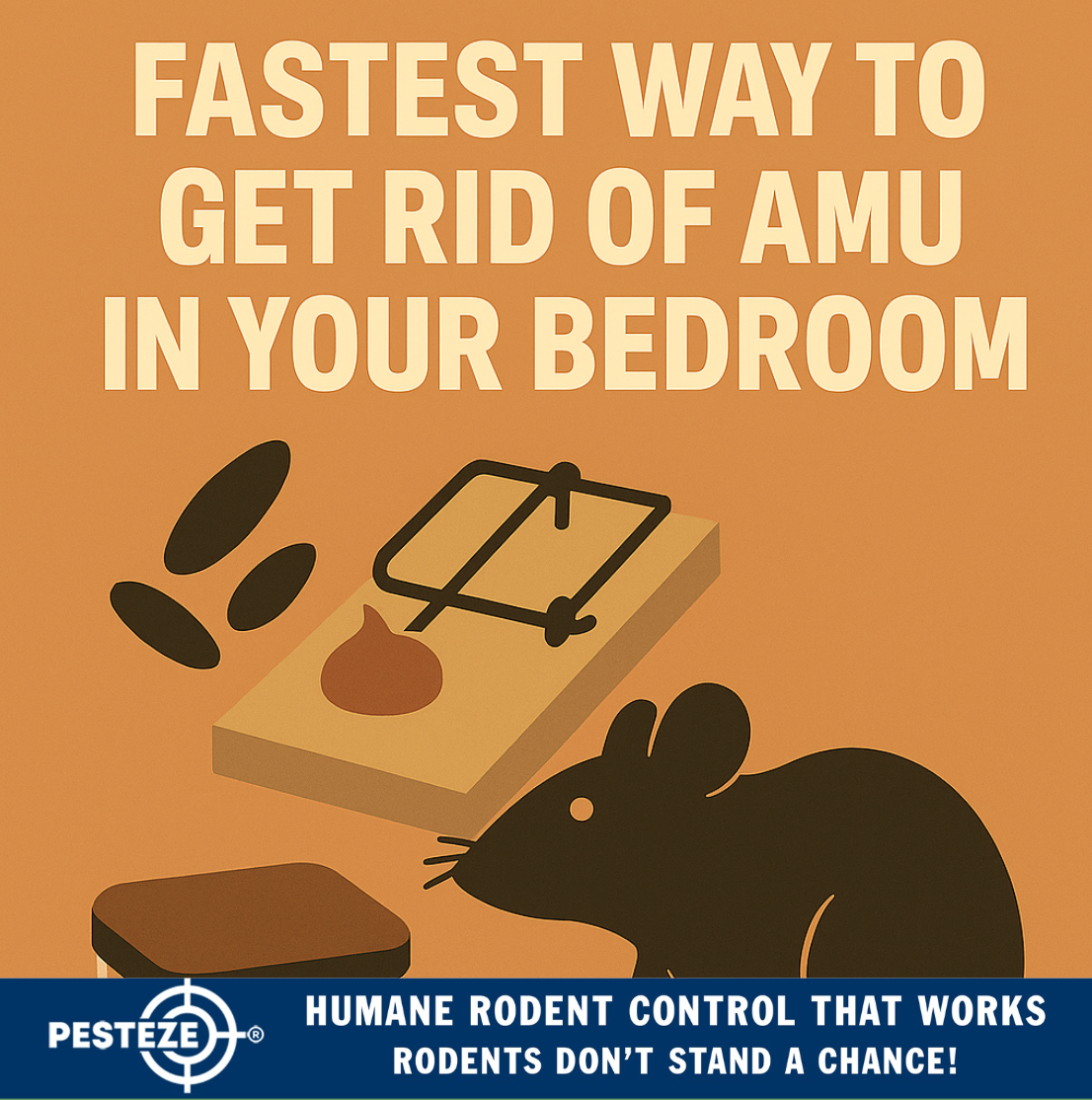 FASTEST WAY TO GET RID OF A MOUSE IN YOUR BEDROOM