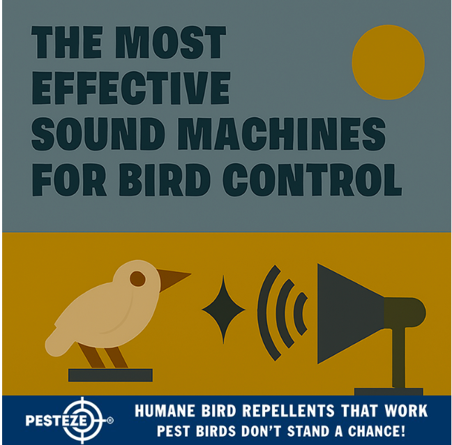 THE MOST EFFECTIVE SOUND MACHINES FOR BIRD CONTROL