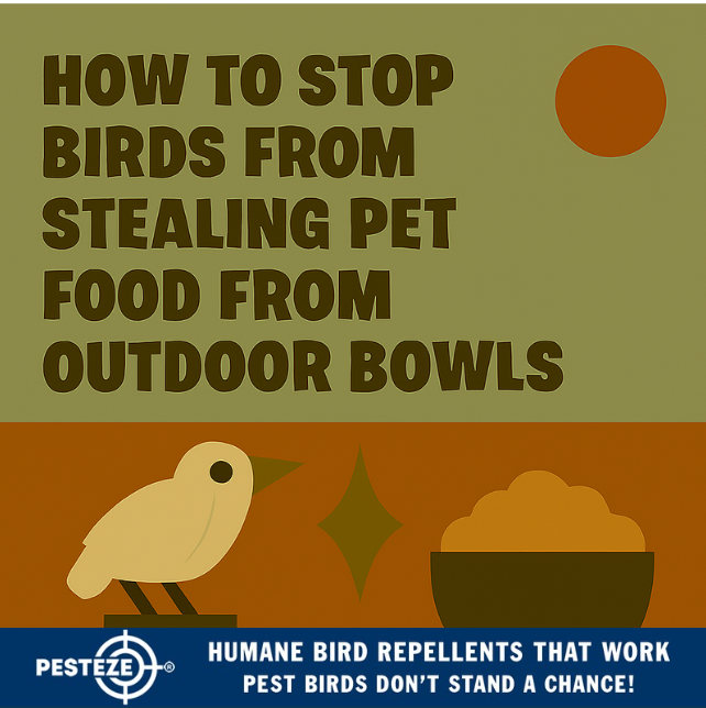 HOW TO STOP BIRDS FROM STEALING PET FOOD FROM OUTDOOR BOWLS