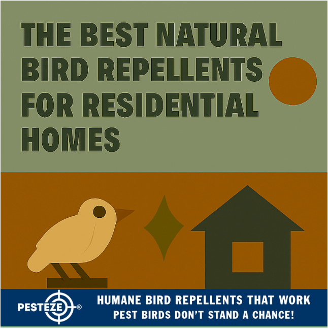THE BEST NATURAL BIRD REPELLENTS FOR RESIDENTIAL HOMES
