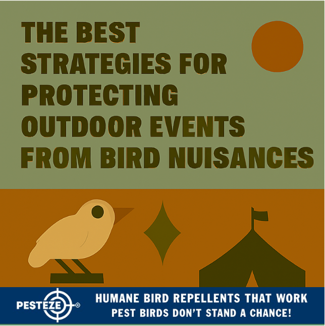 THE BEST STRATEGIES FOR PROTECTING OUTDOOR EVENTS FROM BIRD NUISANCES