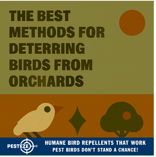 THE BEST METHODS FOR DETERRING BIRDS FROM ORCHARDS