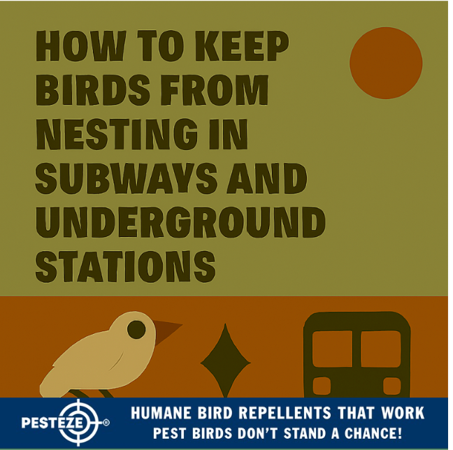 HOW TO KEEP BIRDS FROM NESTING IN SUBWAYS AND UNDERGROUND STATIONS