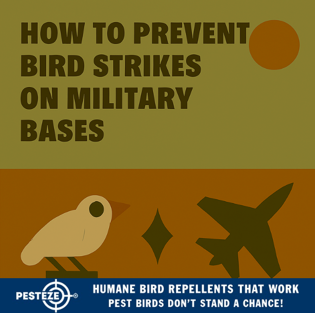 HOW TO PREVENT BIRD STRIKES ON MILITARY BASES