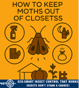 HOW TO KEEP MOTHS OUT OF CLOSETS