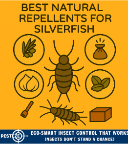 BEST NATURAL REPELLENTS FOR SILVERFISH